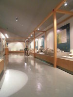 Medium_1 085